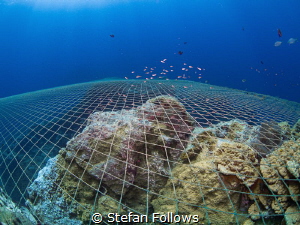 If we go on the way we have, the fault is our greed and i... by Stefan Follows 